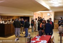 Montemor-o-Novo: 16.º Encontro Internacional de Marionetas arrancou no Cineteatro Curvo Semedo