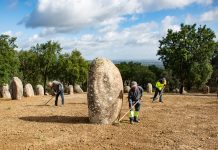 Obra de salvaguarda e valorização do Cromeleque dos Almendres prossegue com sementeira do coberto vegetal